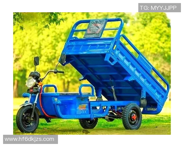 李芳独家分享篮球心得与技巧助你提升球技的全面指南